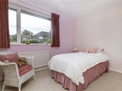 Picture 22